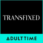 Transfixed avatar