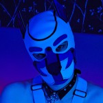 Polaris_Absens