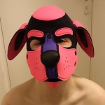 PupDipstick