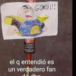 Raybangs
