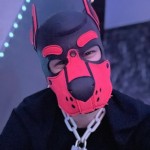 Pup Junior