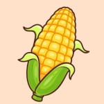 corn is a fruit