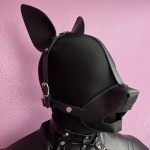 Lucky Dog