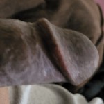 CurvyD216
