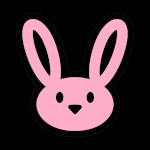 Bunniesx19