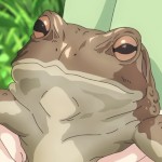incuboifriend