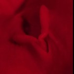 PassionReality