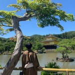 DY Japan