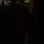 Pjtheguy23