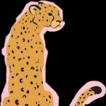 PinkCheeta10