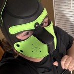 Pup Ryan