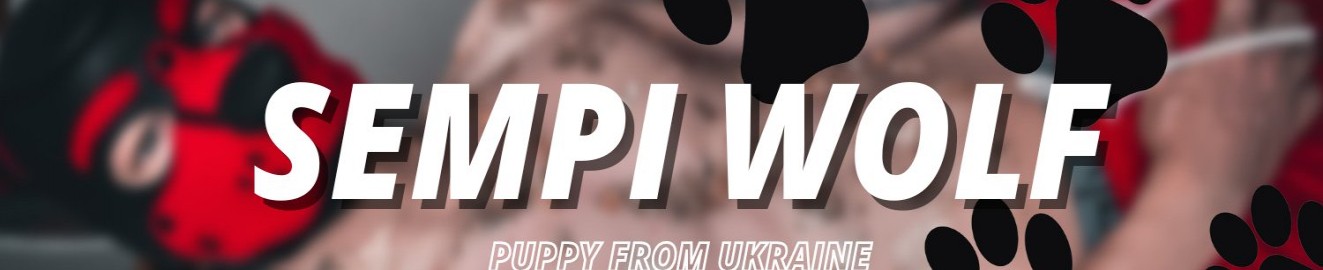 Sempi wolf