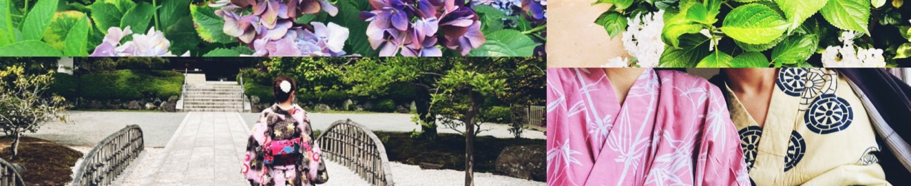 hortensia2022