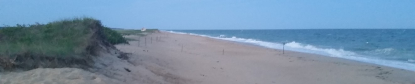 Pyotr2