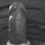 Pausudo21Cm