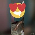 RowwdyPipeHerr