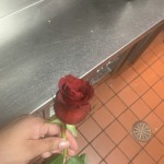 Redsunflowerr