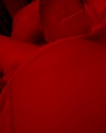 Photo 01 