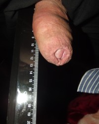 158 SHIRLEY SLUT photo