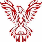 wildphoenixxx