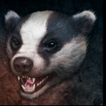 Petr Sajty