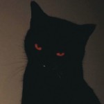 fucktenshi