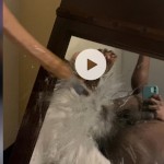 THEBESTIPROMISE