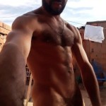 Gaelalves