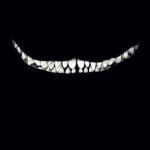 ChocHis_FavFlav