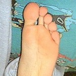 Donamer