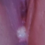 Tittytee