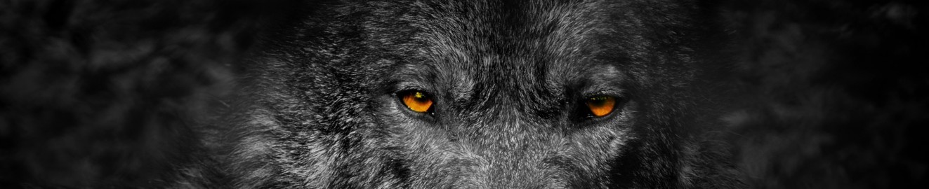 Flint Wolf