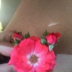 kinkyk5579