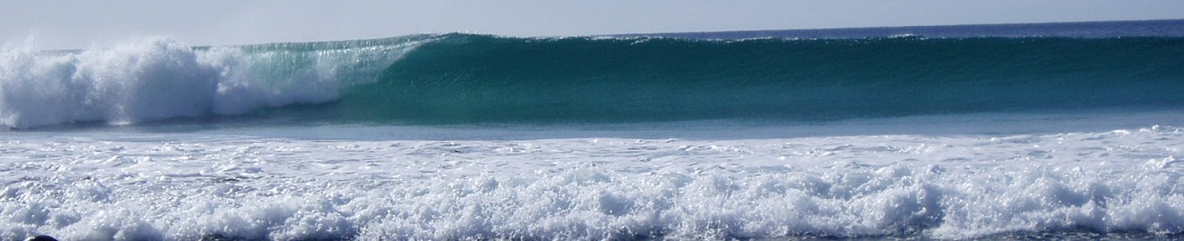 VPalumbo
