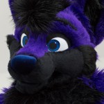 Lucer_fox