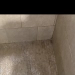 H0RnD06420