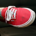 Swiss Vans Lover