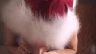 クリスマスのヘザー
