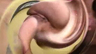 猫咪故事 1 - 场景 1