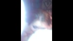 Playlist Thumb 85779261-1