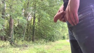 Ich hatte keine Erektion, aber ich kam, beschloss, das restliche Sperma zu pissen