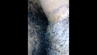 Ebony