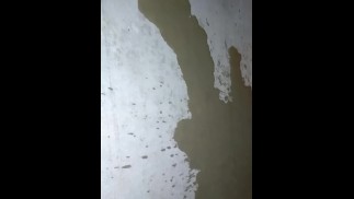 Amateur Public Urination