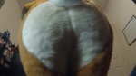 播放列表 Thumb 115472041-2