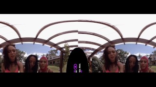 VirtualRealTrans.com - Spring breakers