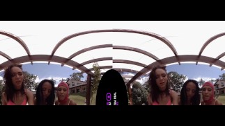 VirtualRealTrans.com - Spring breakers