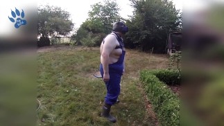 Welpe voller Unfug im Garten