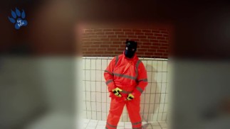 Schnelle Pfote in Regenkleidung