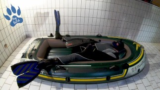 Neoprenanzug, Flossen und Boot - Zahnrad-Welpe scharrt ab