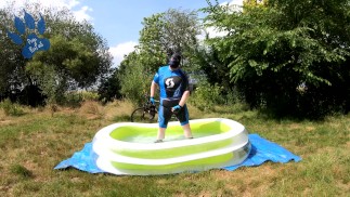 Radfahrer-Welpe im Pool - Abkühlen und Scharren